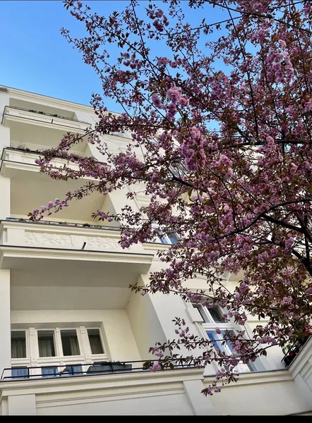 Charmante Wohnung im Bötzowkiez, möbliert — photo 1